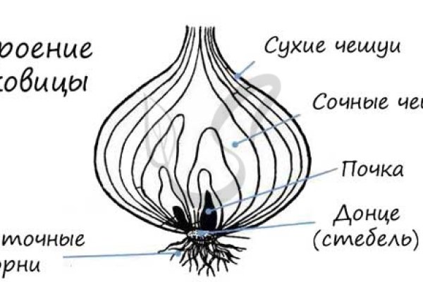 Купить бошки гаш